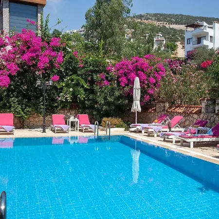 Apartahotel Papermoon &